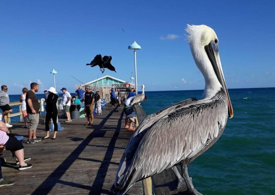 Fort Lauderdale Guest House Eksteriør bilde